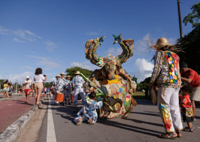 54087178412_7802be9413_b